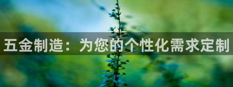 天宏娱乐李叔