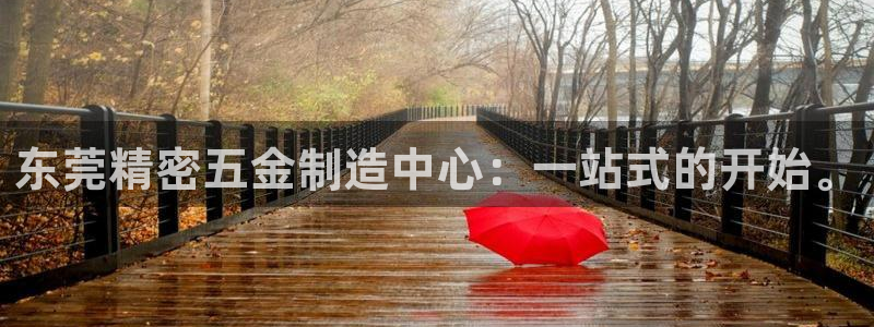 天宏娱乐老板是谁