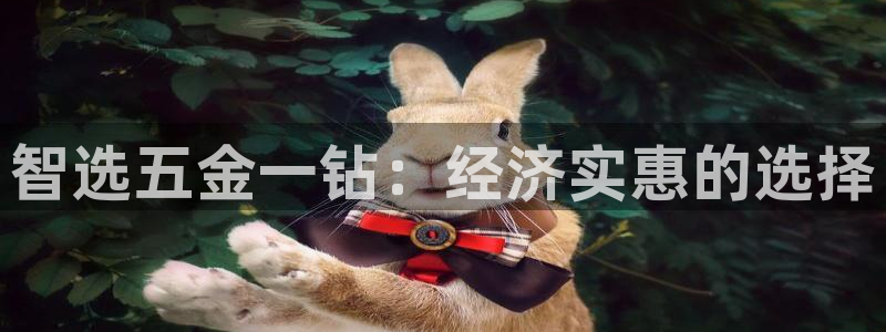 天宏娱乐开业