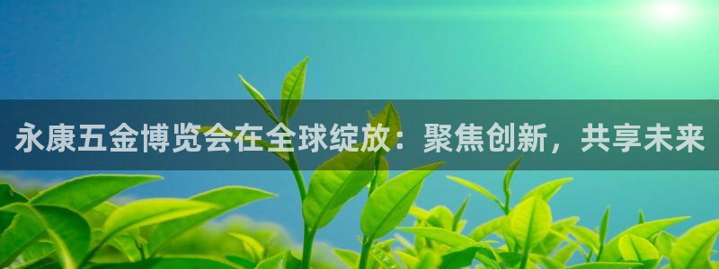 天宏娱乐在线播放