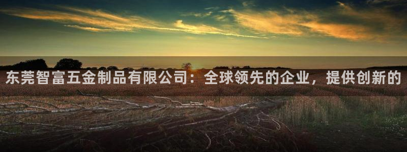 天宏娱乐大叔团队介绍图片