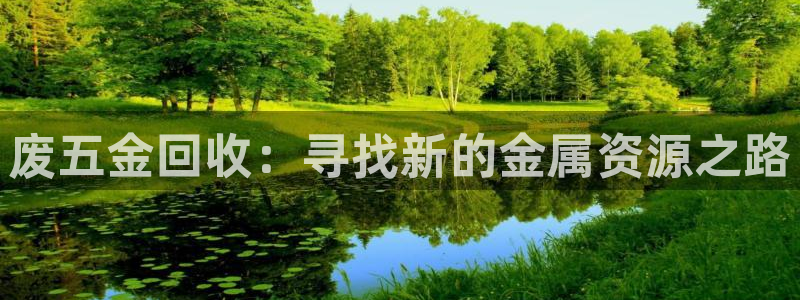 天宏娱乐是干嘛的公司