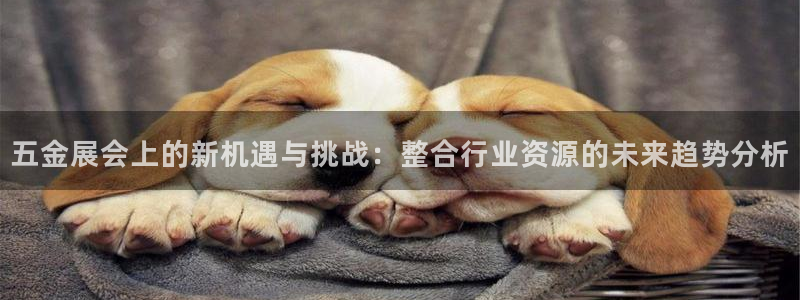 天宏娱乐韩叔
