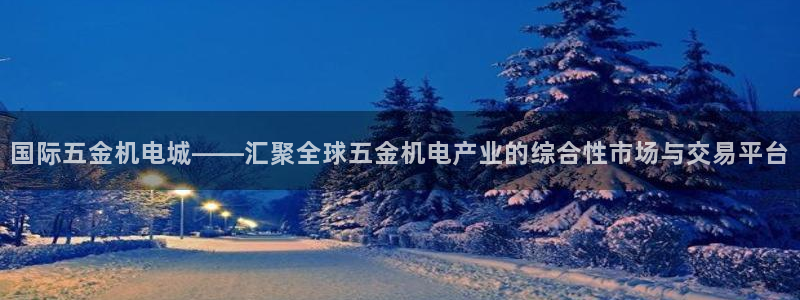 天宏娱乐的王叔