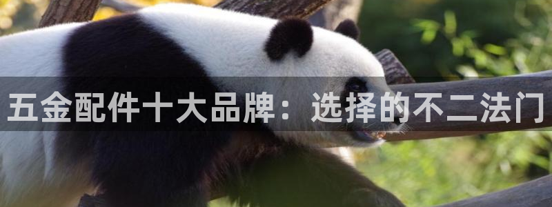 天宏娱乐大叔团唱歌