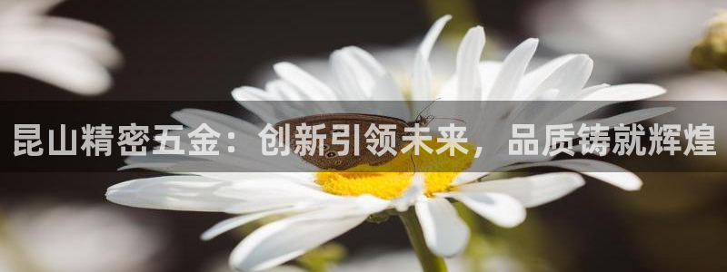 天宏娱乐河源店在哪