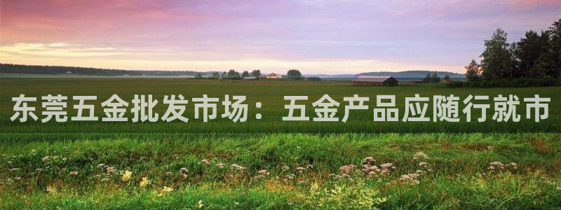 天宏娱乐豆豆团