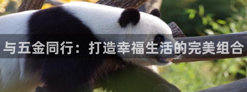 天宏娱乐团购价格多少