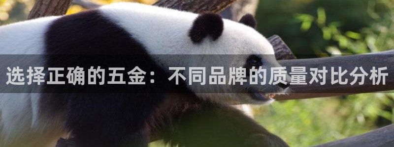 天宏娱乐浗v33300