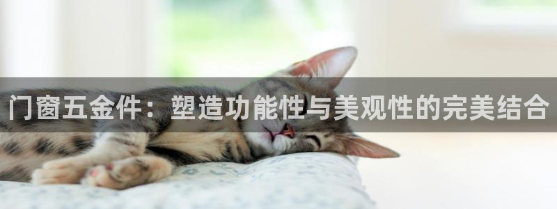 天宏娱乐星空