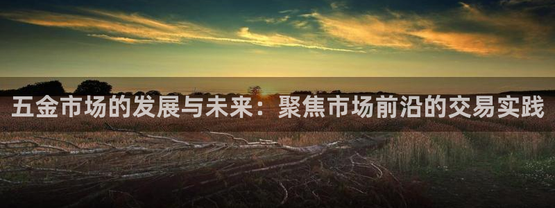 天宏娱乐老男孩吴叔