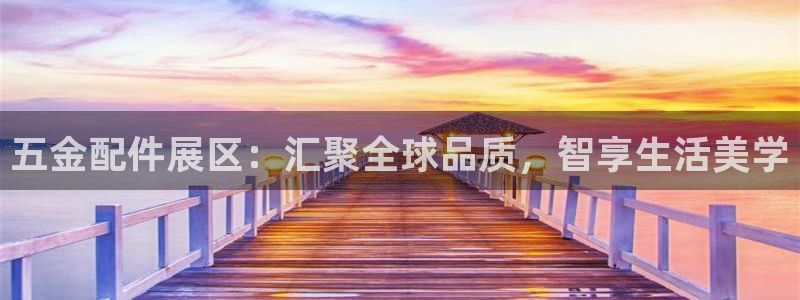 天宏娱乐股东