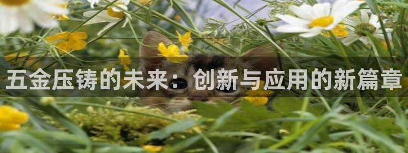 天宏娱乐的秦叔