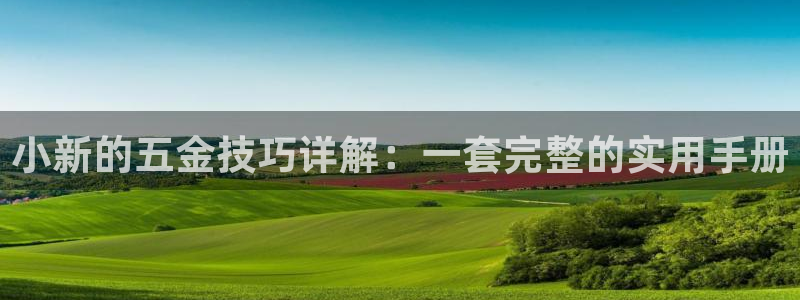 天宏娱乐秦叔老婆