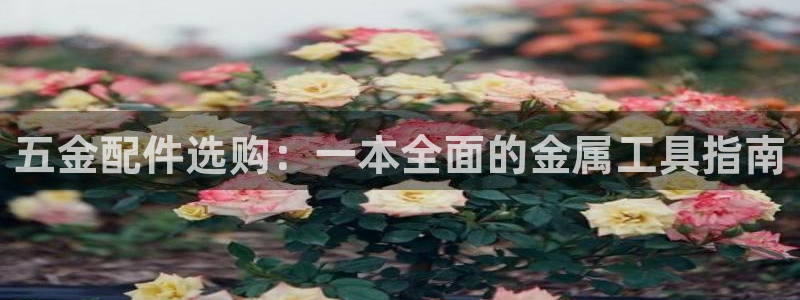 天宏娱乐在哪里