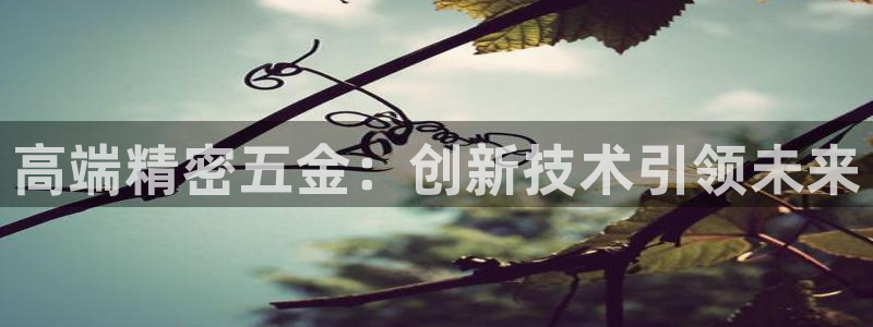 天玺娱乐彩票宏利团队