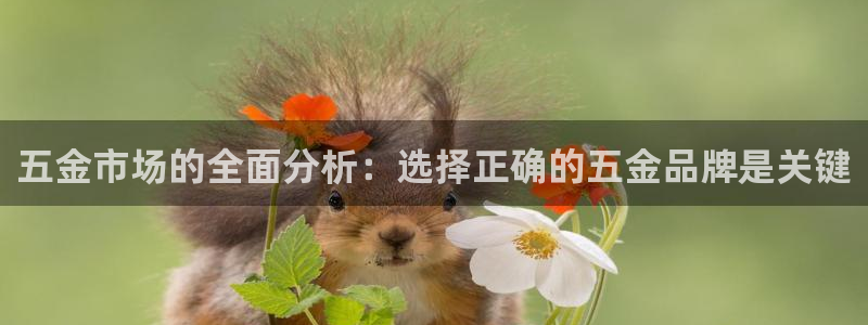 天宏娱乐是什么公司