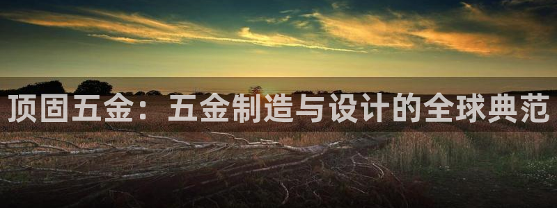 天宏娱乐金大叔