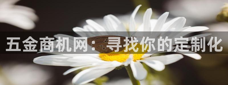 天宏娱乐招商主管招聘