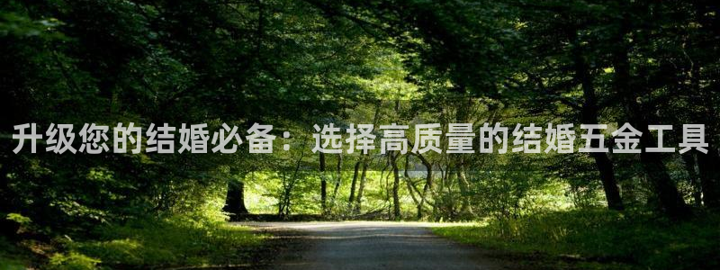 天宏娱乐创始人简介