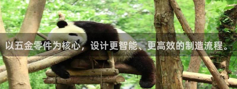 天宏娱乐 22376实e力