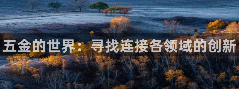 天宏娱乐宋善良