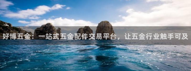 天宏娱乐的王叔