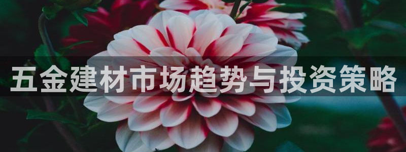 天亿娱乐宏发团队成员