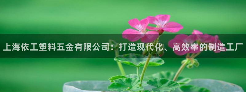 天宏娱乐老男孩文叔