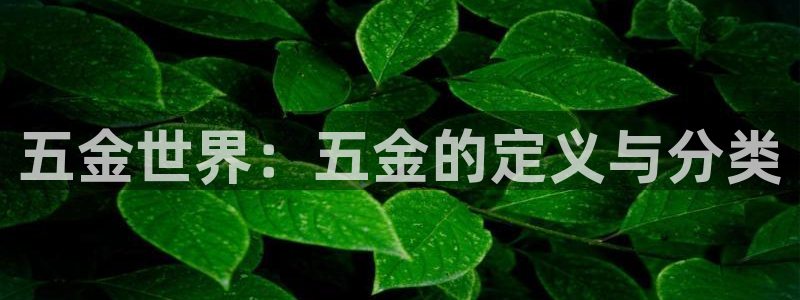 天宏娱乐是干嘛的