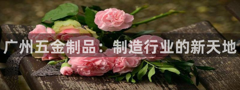 天宏娱乐是干嘛的公司