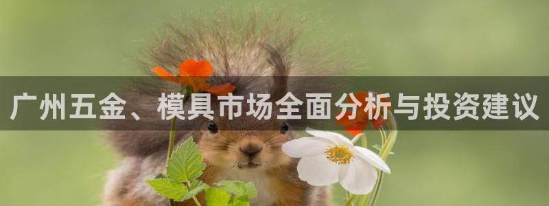 天宏娱乐满意hfqjwl下拉