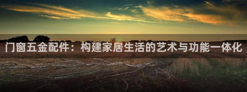 天宏娱乐大叔团队介绍图片