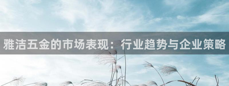 天宏娱乐的秦叔