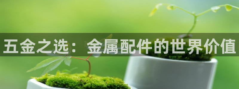 天宏娱乐小刘叔