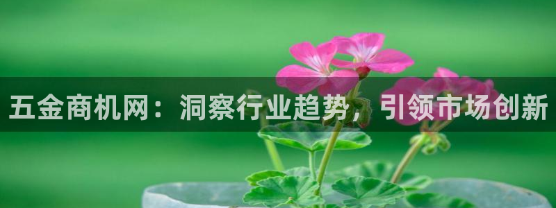 天宏娱乐怎么改号了