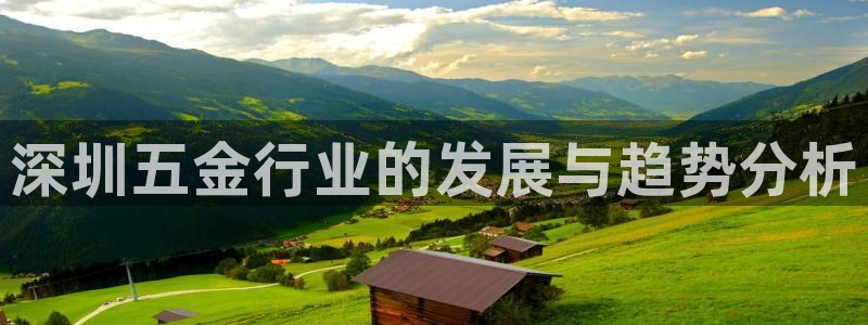 天宏娱乐秦叔的大哥