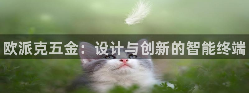 天亿娱乐宏发团队