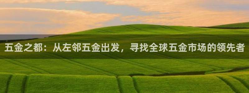 西安天宏娱乐团