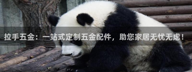 天宏娱乐老男孩团队