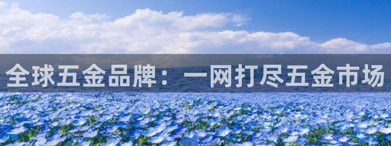 天宏娱乐的王叔