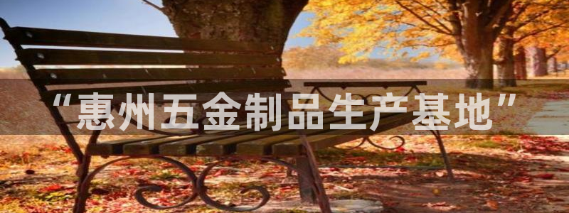 天宏娱乐小刘叔