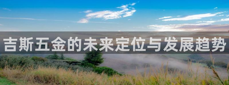 天宏娱乐大叔团