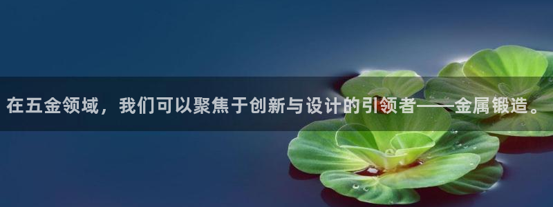 天宏娱乐韩叔抖音