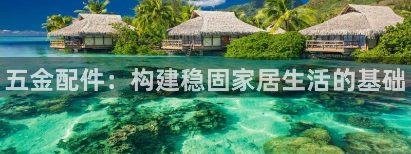 天宏娱乐直播在线观看