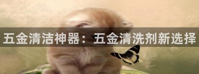 天宏娱乐l 判官