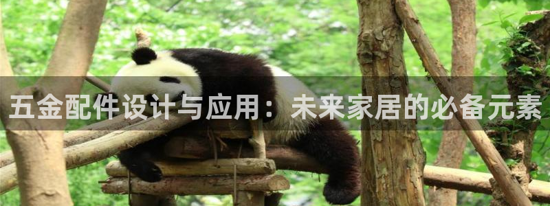 天宏娱乐小号官网