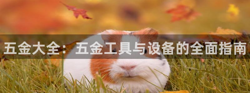 天宏娱乐招商
