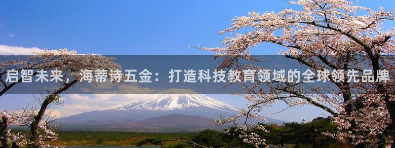 天宏娱乐秦叔的大哥