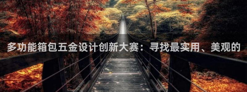 天宏娱乐的老板是谁
